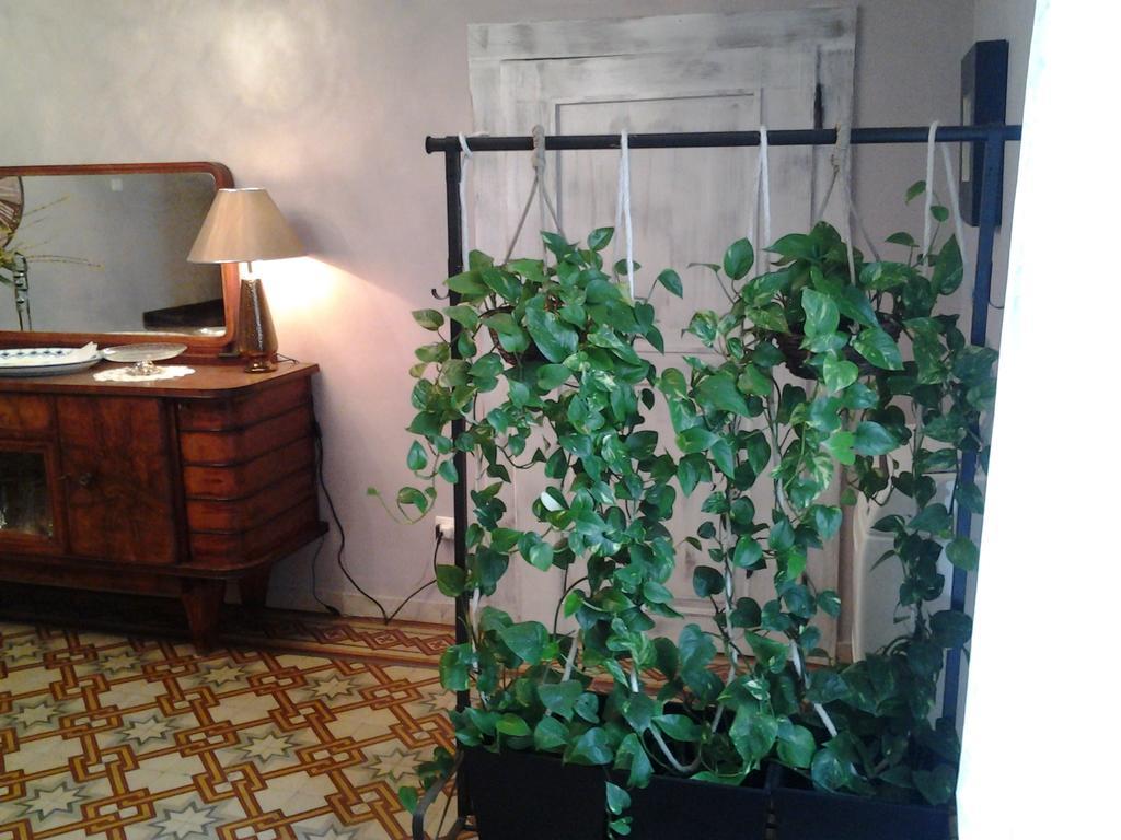 Medoacvs B&B Stra Extérieur photo